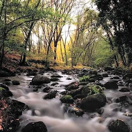 El Lago, Caceres