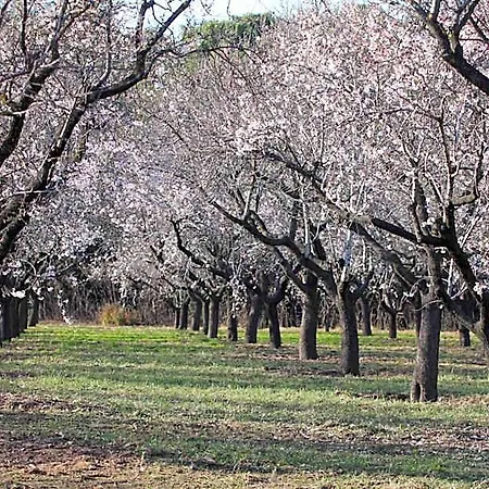 El Lago, Caceres